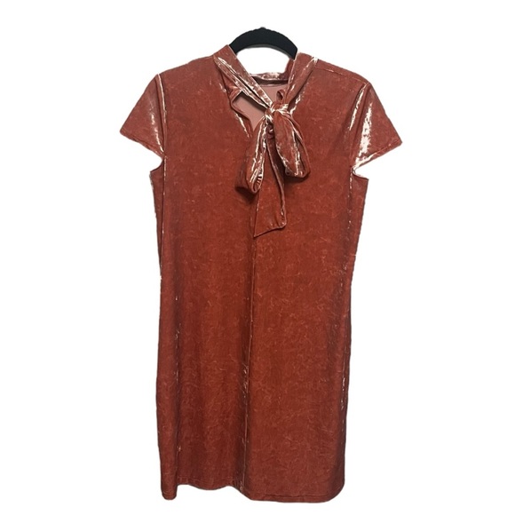 Madewell Crushed Velvet Mockneck Dress - Picture 4 of 10